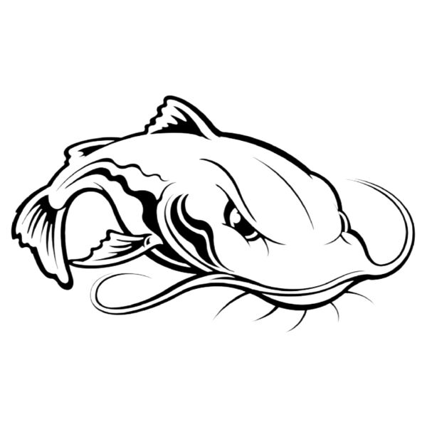Catfish Thumbnail